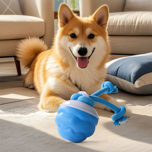 🐕 Minge electronică interactivă calmantă pentru câini | Reduce anxietatea și plictiseala 🎾