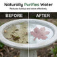 🐦 Purificator universal pentru baia păsărilor – În stoc & ramburs 💧🌿