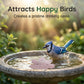 🐦 Purificator universal pentru baia păsărilor – În stoc & ramburs 💧🌿