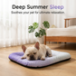 ❄️ Menține‑ți animalul răcoros și confortabil – Covoraș cu gel auto‑răcitor pentru animale de companie – ramburs 🐾💤