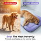 ❄️ Menține‑ți animalul răcoros și confortabil – Covoraș cu gel auto‑răcitor pentru animale de companie – ramburs 🐾💤